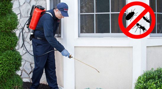Limontepe Kemirgen İlaçlama böcek ilaçlama ve haşere kontrolü — ilaclama-tr.com